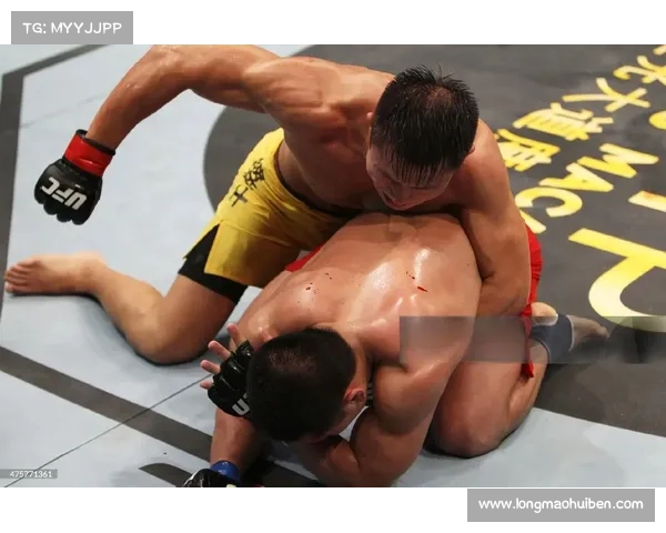 UFC中国力量崛起三位选手征战国际赛场再创辉煌 UFC中国力量崛起三位选手征战国际赛场再创辉煌